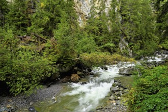 Diosaz mountain river in the gorge, Gorges de la Diosaz, Les Houches, Chamonix-Mont-Blanc,