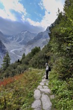 Female hiker on mountain trail in autumn-colored surroundings with the Mer de Glace glacier,