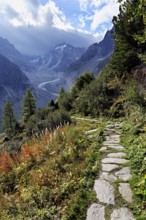 Hiking trail in autumn-colored surroundings with the Mer de Glace glacier, Mont-Blanc,