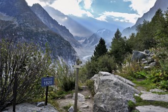 Table showing the glacier status from 1820 from the Mer de Glace glacier, Mont-Blanc,