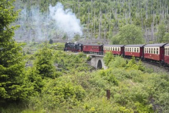 A steaming locomotive of the historic Brocken Railway with several wagons travels from Drei Annen