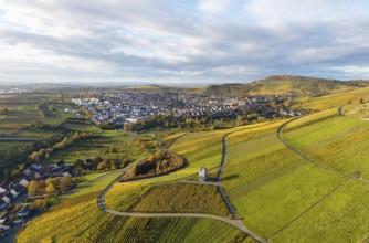 Aerial view of a village surrounded by vineyards and hills under a cloudy sky, observation tower,