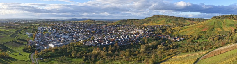 Panoramic view of a village surrounded by vineyards and rolling hills under cloudy sky, autumn,