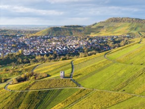 Vineyards and hills surround a town, a central building in the middle distance, autumn, observation