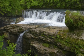 River waterfall with moss-covered rocks in a green forest, Martvili Gorge, Martvili Canyon,