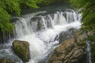Small waterfall over rocks in a river surrounded by green trees, Martvili Gorge, Martvili Canyon,