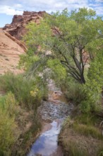 Hite, Utah - Hog Spring Recreation Area. The area has picnic areas and a hiking trail in Red Rock