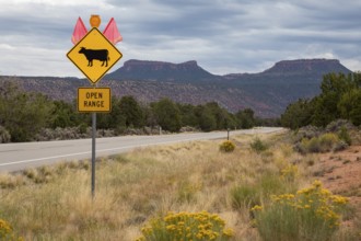 Bears Ears National Monument, Utah. A sign warns motorists of open range cattle grazing on a