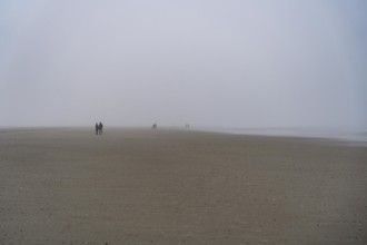 Walkers on the mudflats, in thick fog, near the East Frisian island of Spiekeroog, west of the