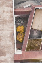 Aerial view of a courtyard with a fountain and yellow trees, surrounded by a large building with a