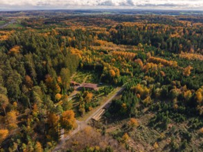 Autumn forest landscape with green and orange trees under a cloudy sky, Calw district, Germany