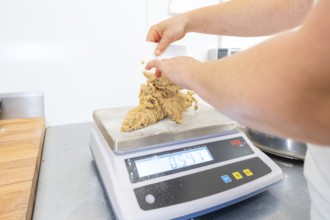 Hands weigh dough on a digital scale, weight is shown, Christmas baking, Haselstaller Hof,