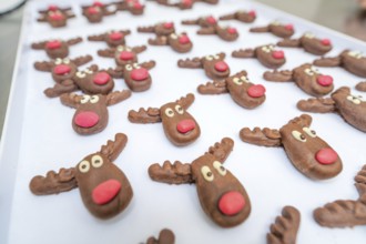 Chocolate chip cookie reindeer with red noses prepared for decoration on a kitchen table, Christmas