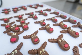Many chocolate cookie molds that look like reindeer arranged on a table, Christmas baking,
