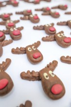 Close-up of chocolate reindeer molds with red noses made of praline chocolate, Christmas baking,
