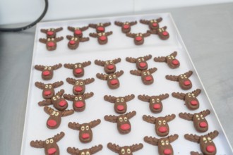 Creative reindeer chocolate chip cookies with red noses and white eyes on a baking tray, Christmas