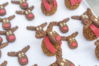 Handmade reindeer cookies made of chocolate with red and white details, decorated, Christmas