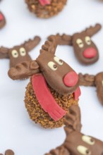 Reindeer shaped chocolate cookie with red nose and white background, Christmas baking, Haselstaller