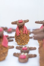 Handmade chocolate reindeer cookies with red and white details on a white background, Christmas