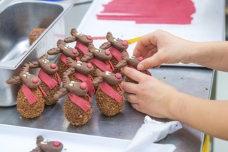 Chocolate reindeer with red scarves are decorated by hand, Christmas baking, Haselstaller Hof,