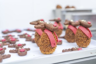 A tray full of reindeer cookies with red noses and scarves in a bakery, Christmas baking,