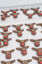 Numerous reindeer chocolate chip cookies with red noses and white eyes on tray, Christmas baking,