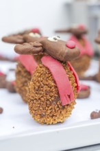 A detailed reindeer cookie with red scarf and nose taken up close, Christmas baking, Haselstaller