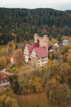 A castle with red tiled roofs surrounded by autumn-colored trees and small houses, Berneck Castle,