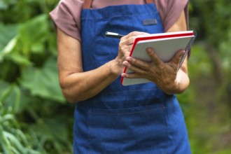 Senior woman in apron holding pen and notebook, carefully recording observations and data about