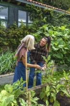 Older mother teaches daughter to prune vegetables in a raised backyard garden bed, sharing