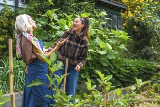 Two cheerful women of different generations are laughing and bonding outdoors, tending to plants in