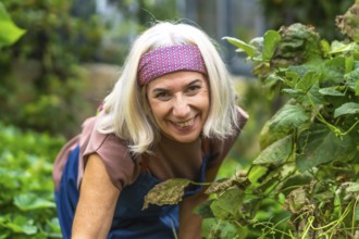 Mature blonde woman with headband smiling cheerfully while gardening in her backyard, tending