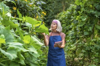 Senior woman in an apron checking plant leaves and holding a digital tablet, demonstrating organic