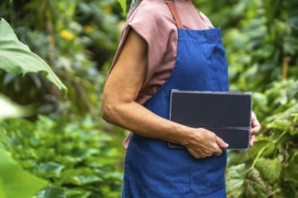 Gardener woman in apron using a tablet to monitor plant health and manage smart, sustainable
