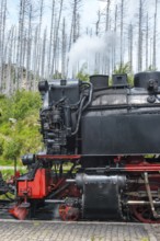 Side view of a steaming locomotive, steam locomotive, detail, close-up of the Harz narrow-gauge