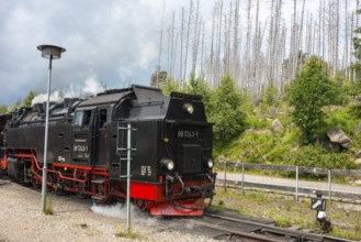 Close-up of a steam locomotive, rails, front of a steaming railway locomotive, steam locomotive,