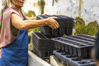 Senior woman carefully stacking black plastic seed trays, preparing for new plant seedlings in a