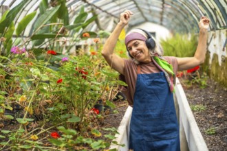Senior woman wearing headphones and an apron, dancing with hands up, finding joy while working and