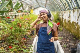 Senior woman in apron wearing headphones, smiling as she listens to music while tending potted