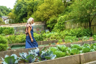 Senior woman walking through a bountiful organic vegetable garden with raised beds, cultivating