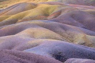 Colourful wavy hills that offer a surreal sight in purple and yellow. Africa, East Africa,