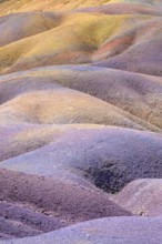 Colourful wavy hills that form a surreal pattern in yellow, purple and orange. Africa, East Africa,
