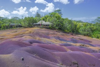 Colourful red and purple dunes in front of a tropical forest under blue skies in Mauritius. Africa,