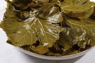 Canned grape leaves, for cooking dolma, on a plate