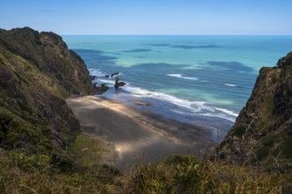 Landscape in New Zealand with sea and sandy beach. View of Mercer Bay. Mercer Bay Loop Walk hiking