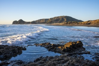 Landscape in New Zealand with sea and sandy beach. Bethells Beach (Te Henga), evening, golden hour.