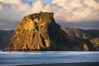 Landscape in New Zealand with sea and beach. Piha Beach and Lion Rock. In the evening, golden hour.