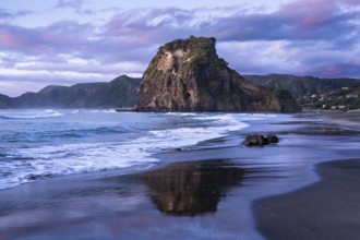 Landscape in New Zealand with sea and sandy beach. Piha Beach and Lion Rock. Surfers in water. In