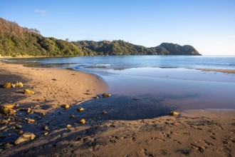 Landscape with sea and sandy beach in New Zealand. In the morning, golden hour. Otara Bay,