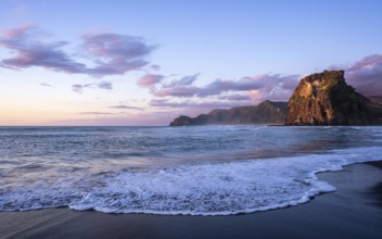 Landscape in New Zealand with sea and sandy beach. Piha Beach and Lion Rock. sunset. Piha,